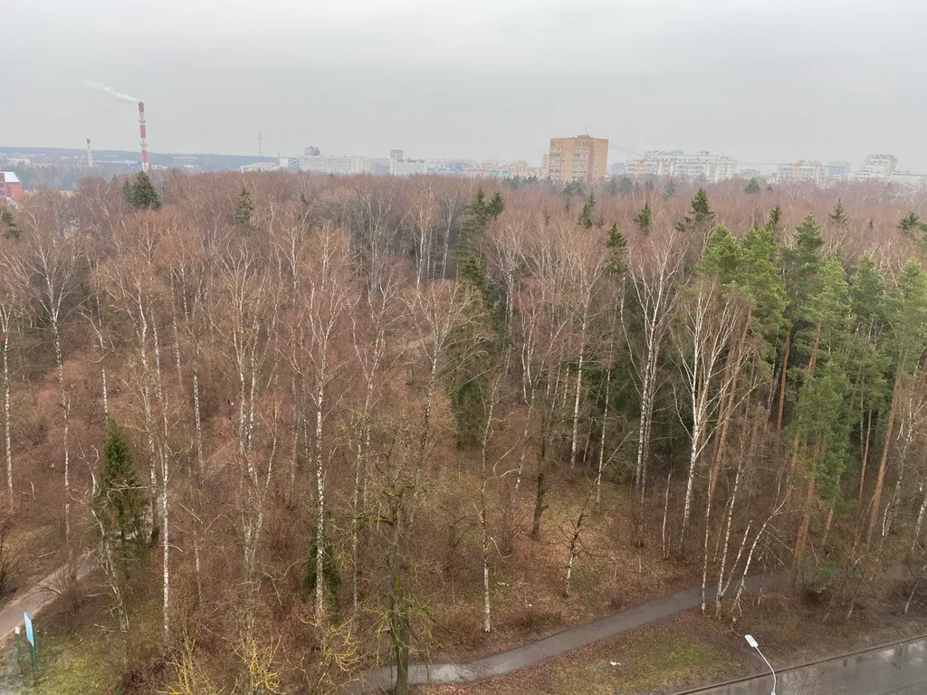 Апартамент у озера в центре города