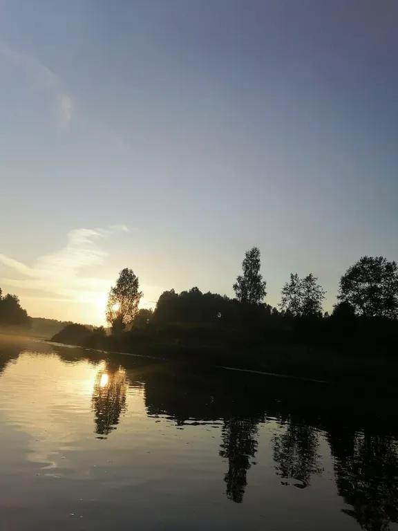 Домики в лесу на берегу реки Волге