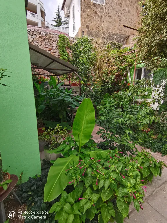 Домик в самом центре Фороса