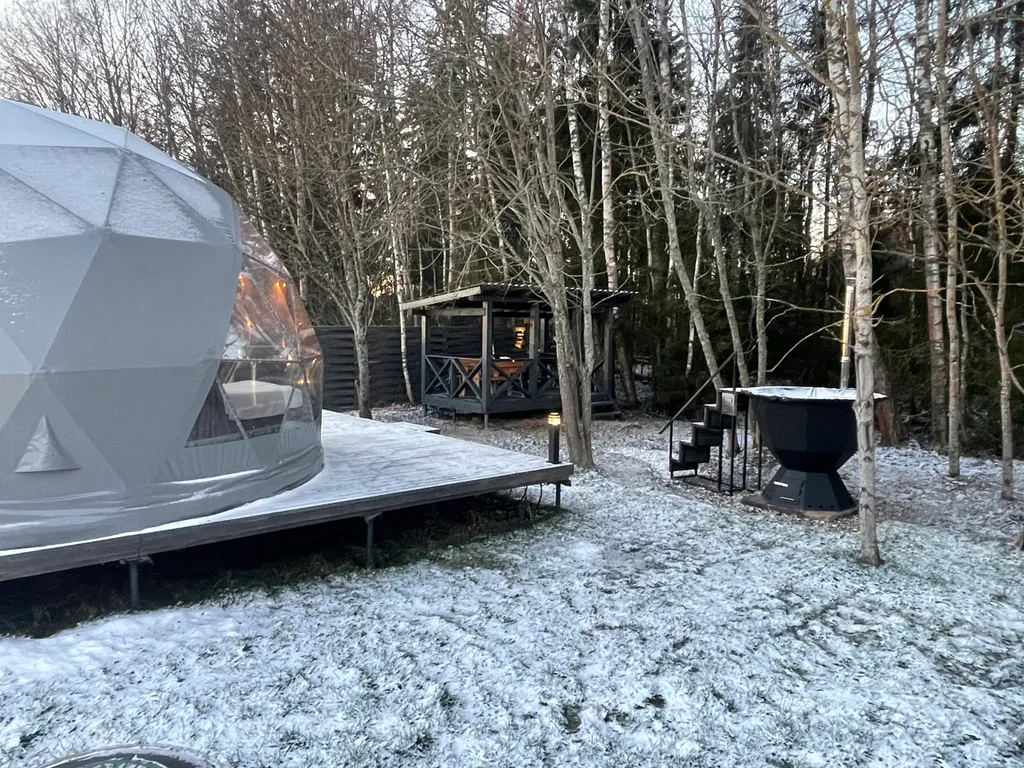 Коттедж Геокупол D-6 с панорамным видом на лес Detox-Riga — Черленково