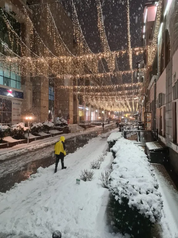 New студия в стиле шале