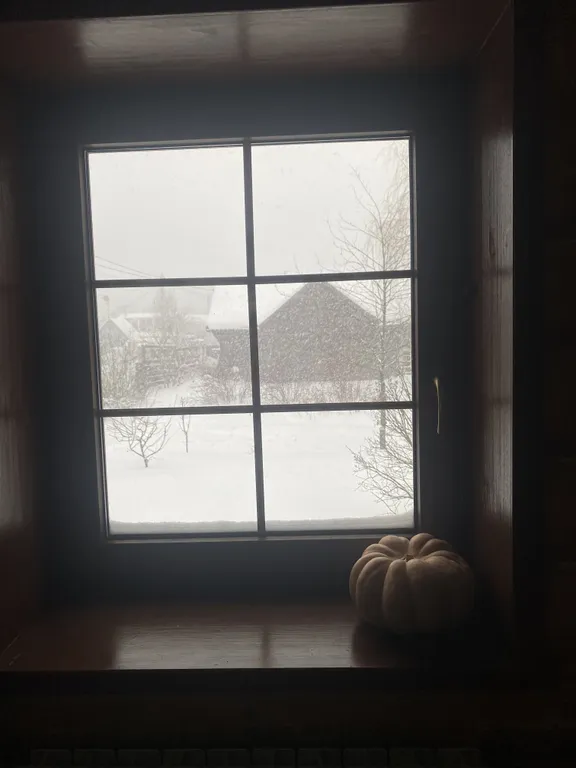 Уютный дом с баней и подворьем