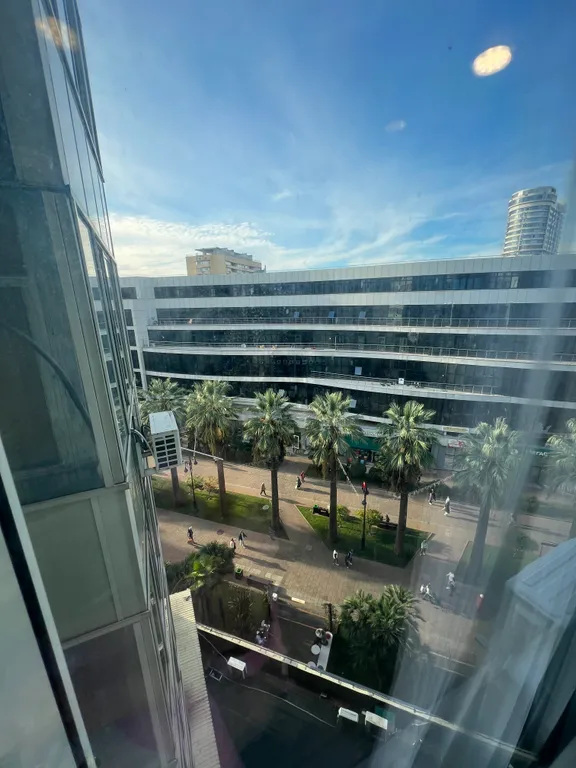 Квартира с видом на пальмы