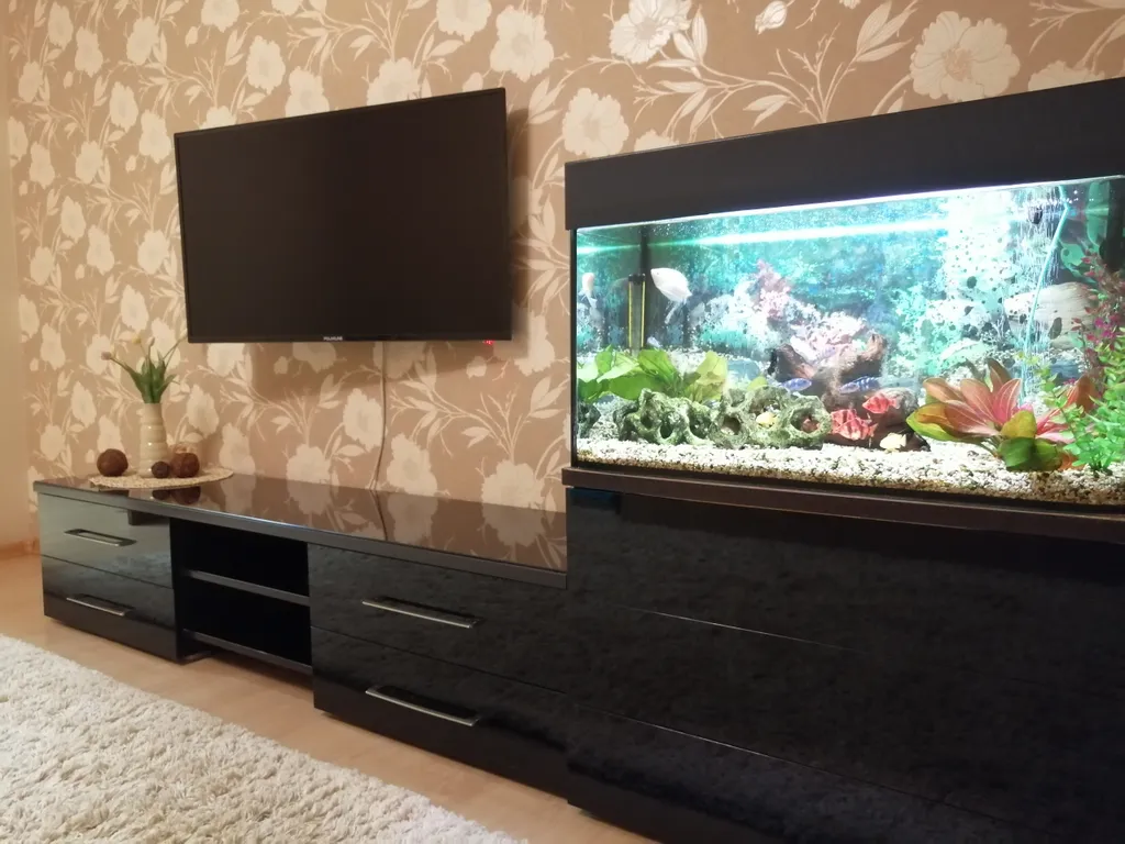 Уютная квартира в Спутнике