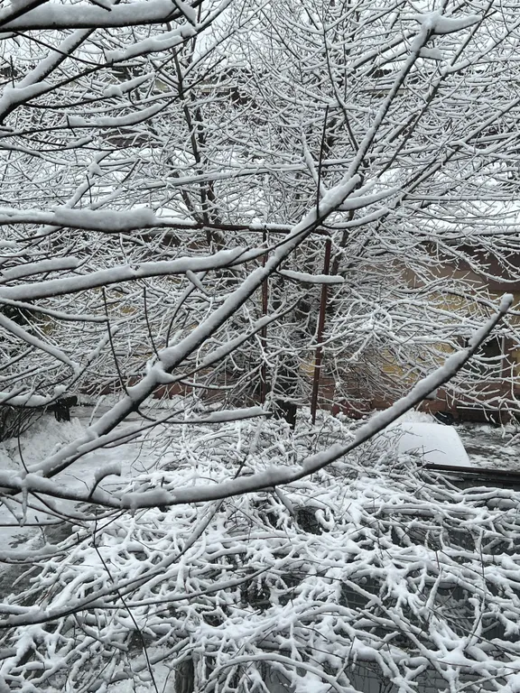 Гостиница с садом и баней