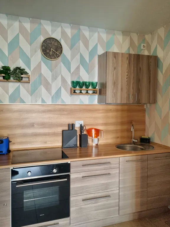 Рыжий Кот на Горке (2-х комнатная квартира в центре)