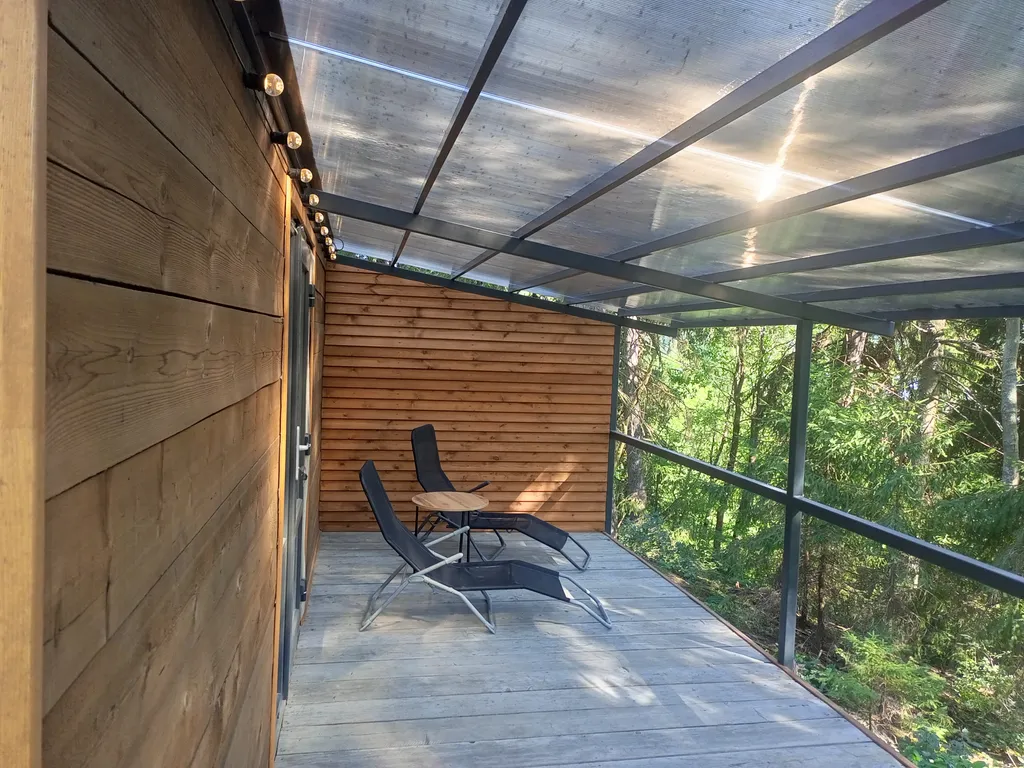 Новые домики среди векового леса на берегу Ладоги