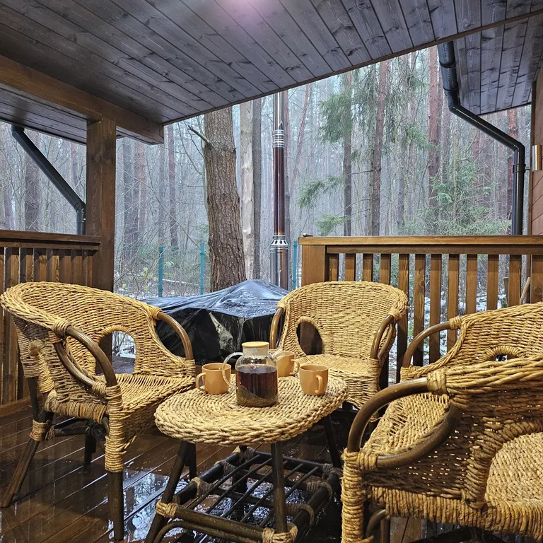 Большой дом