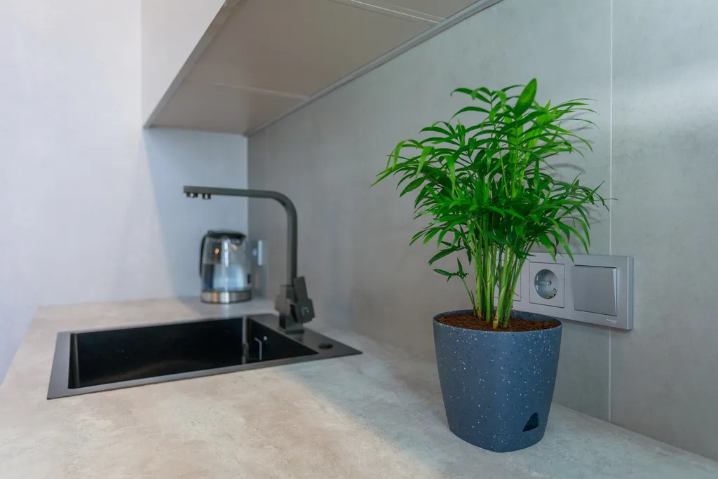 2-комнатная квартира в тихой курортной части