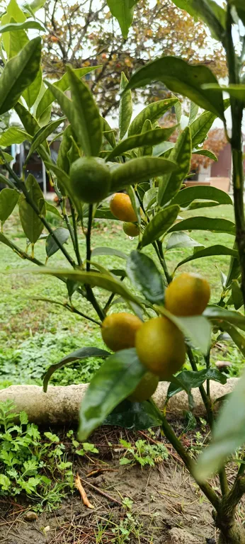 Двухкомнатные апартаменты на берегу моря