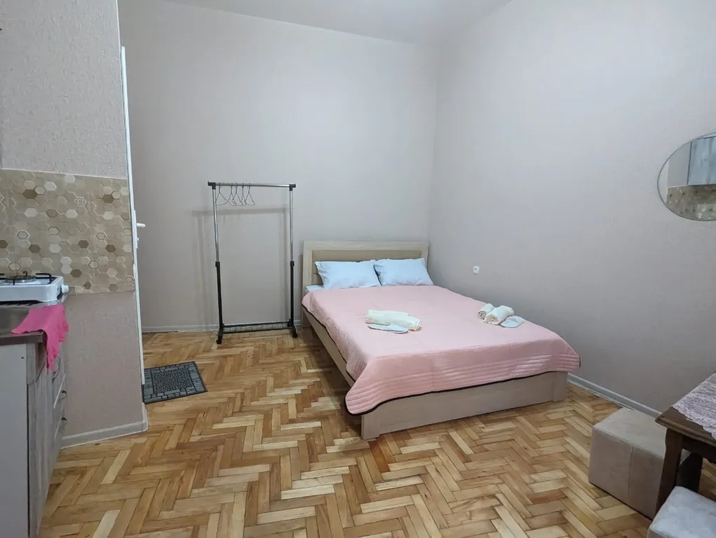 Уютная студия прямо в центре города Elis Apartment