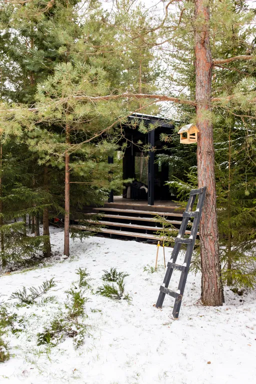 Коттедж Экcклюзивный дом с гopячим чaнoм в сосновом лесу — Семеновское