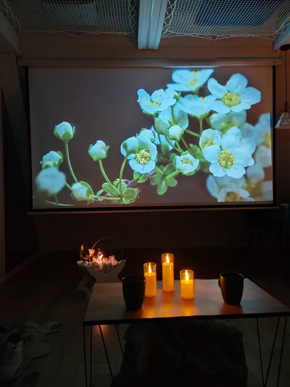 Коттедж Дом А-фрейм — Санкт-Петербург