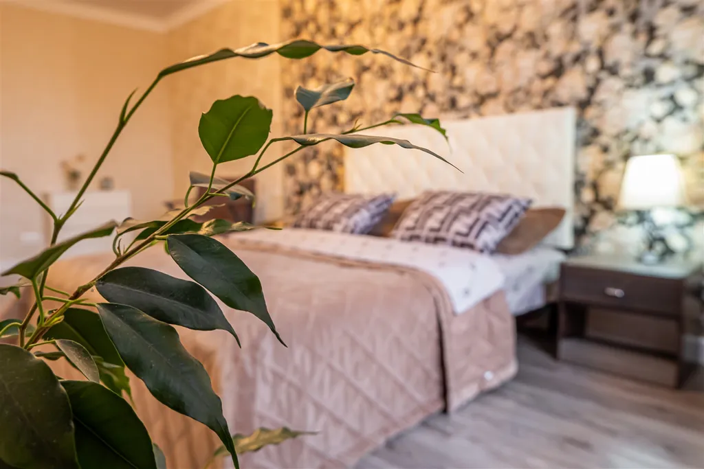 Уютная квартира в центре — аренда посуточно в Ставрополь