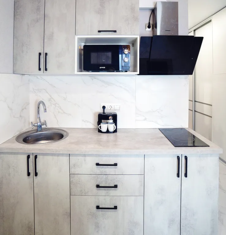 Рыжик в Приморском районе