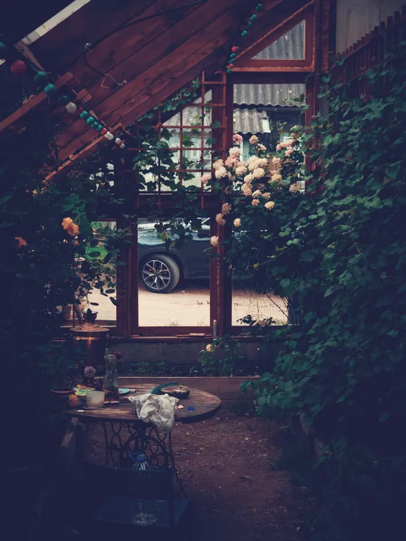 Три галки с мансардой