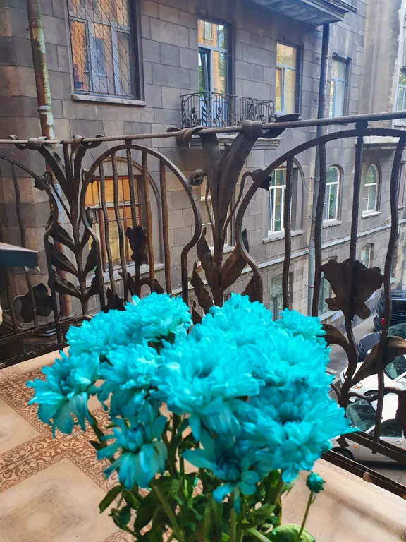 Квартира Комната — Санкт-Петербург