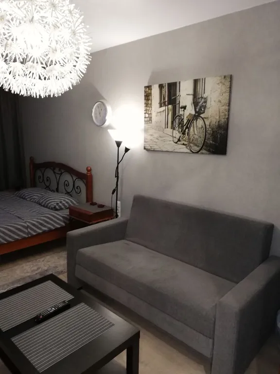 Однокомнатная квартира у Амфитеатра