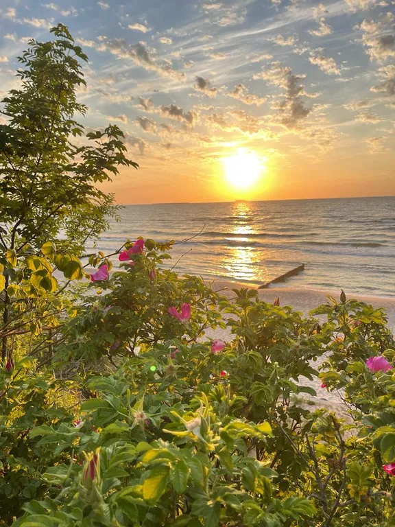 Квартира Апартаменты Релакс с террасой у моря — Зеленоградск