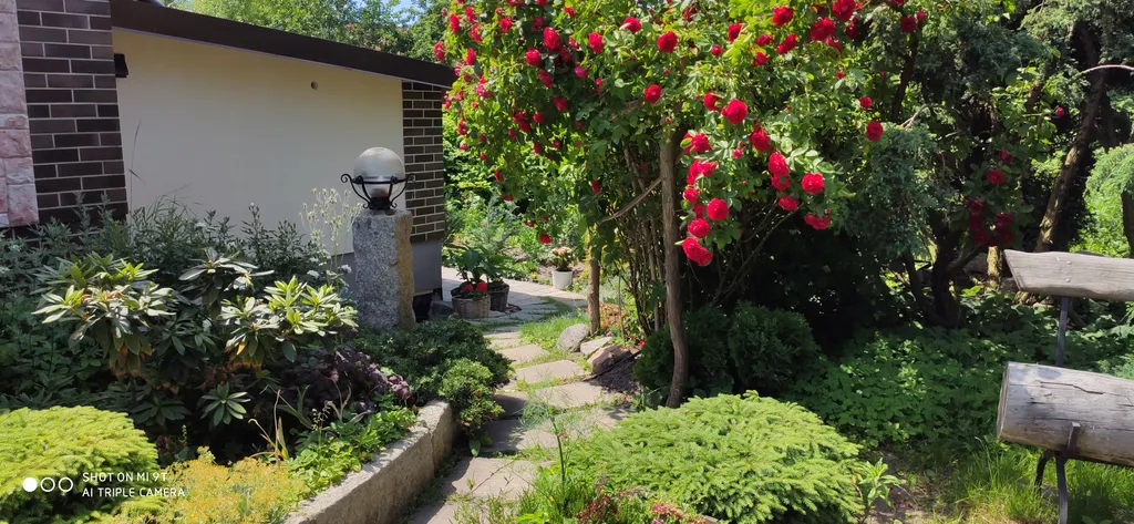 Небольшая дружелюбная студия с патио