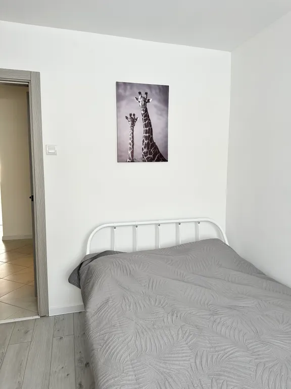 Уютная квартира в центре города, 2 комнаты, на первом этаже