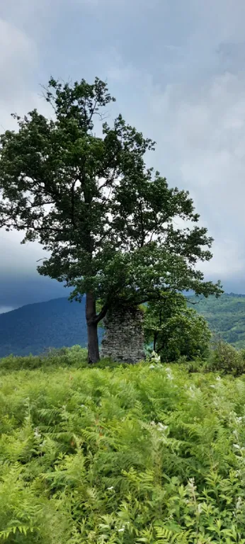 Дом для спокойного отдыха