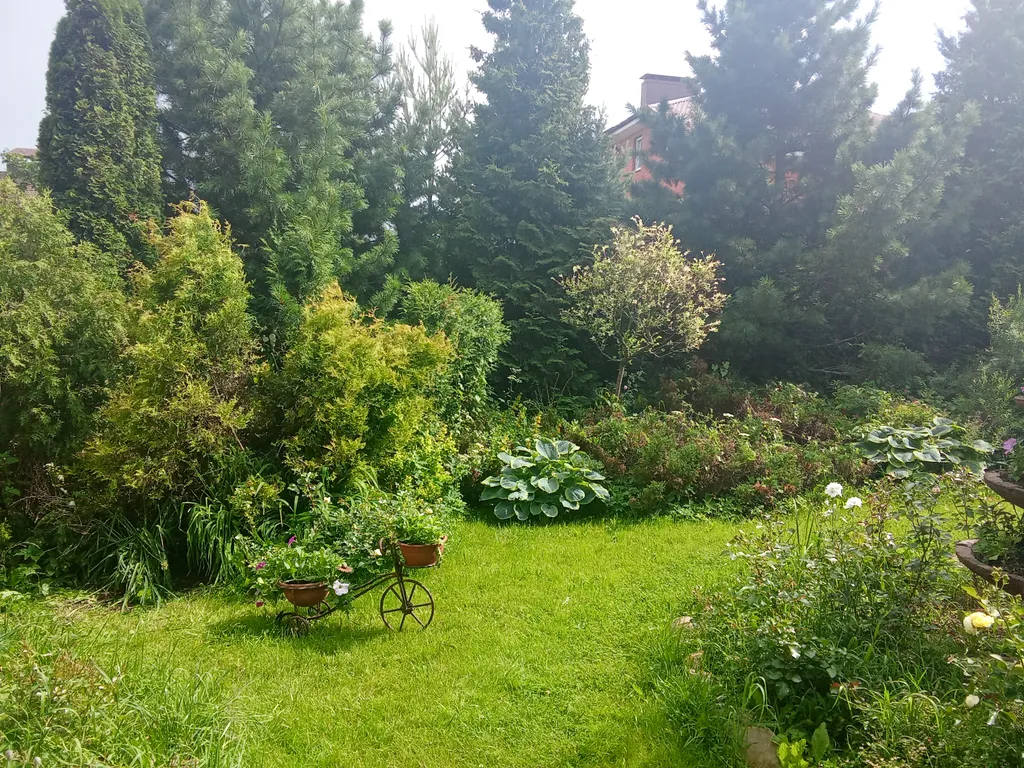 Дом с баней