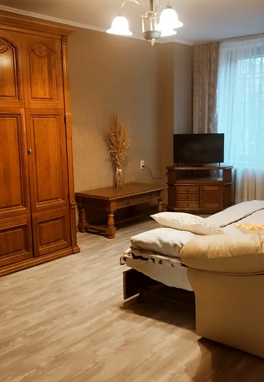 Уютная однокомнатная квартира