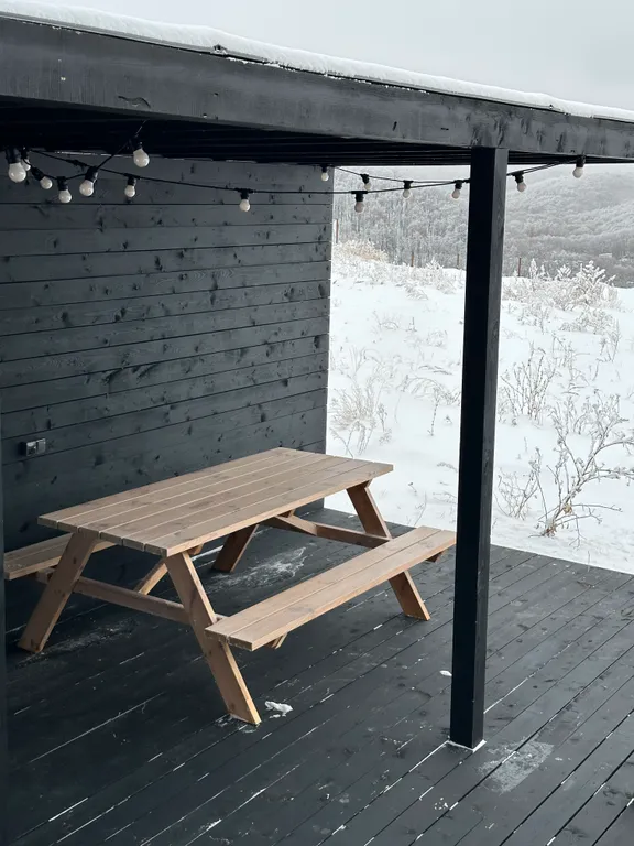 Сканди-дача №2