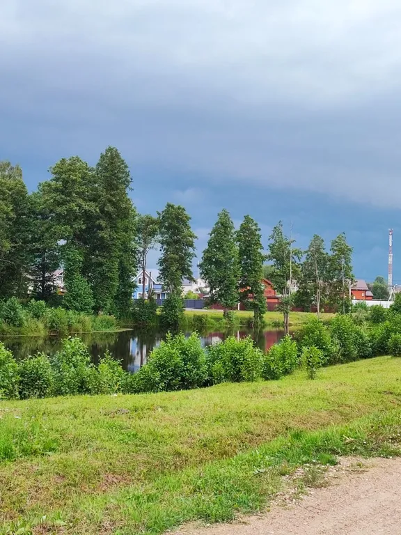 Новый стильный дом в окружении леса