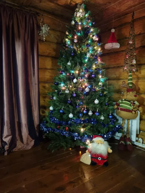 Эко дом в лесу