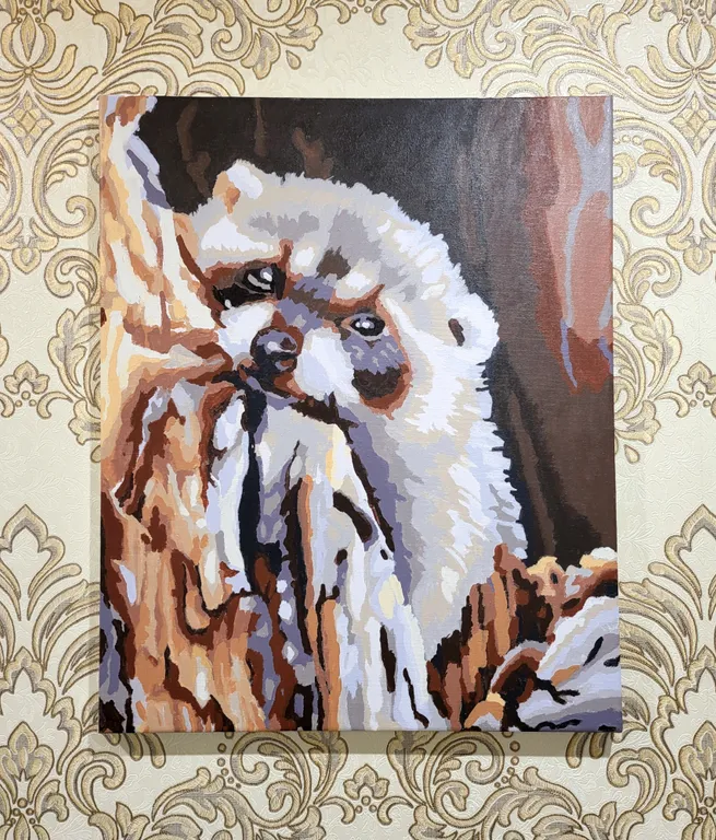 Венецианская Регата