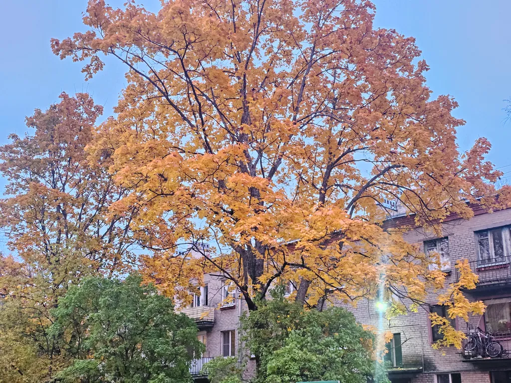 Светлая однокомнатная квартира возле реабилитации