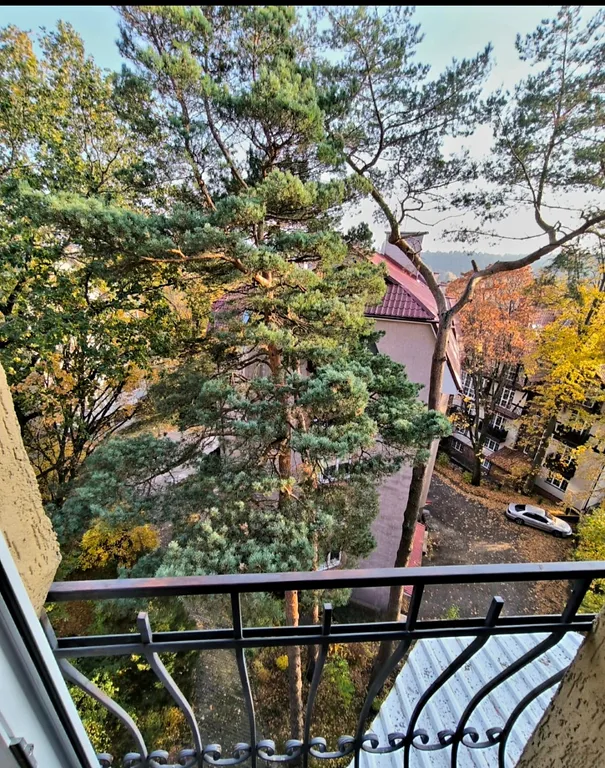 Квартира Уютная квартира с видом на сосны — Светлогорск