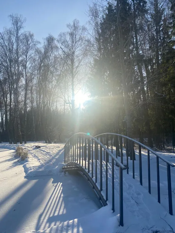 Уютный домик в лесу у пруда