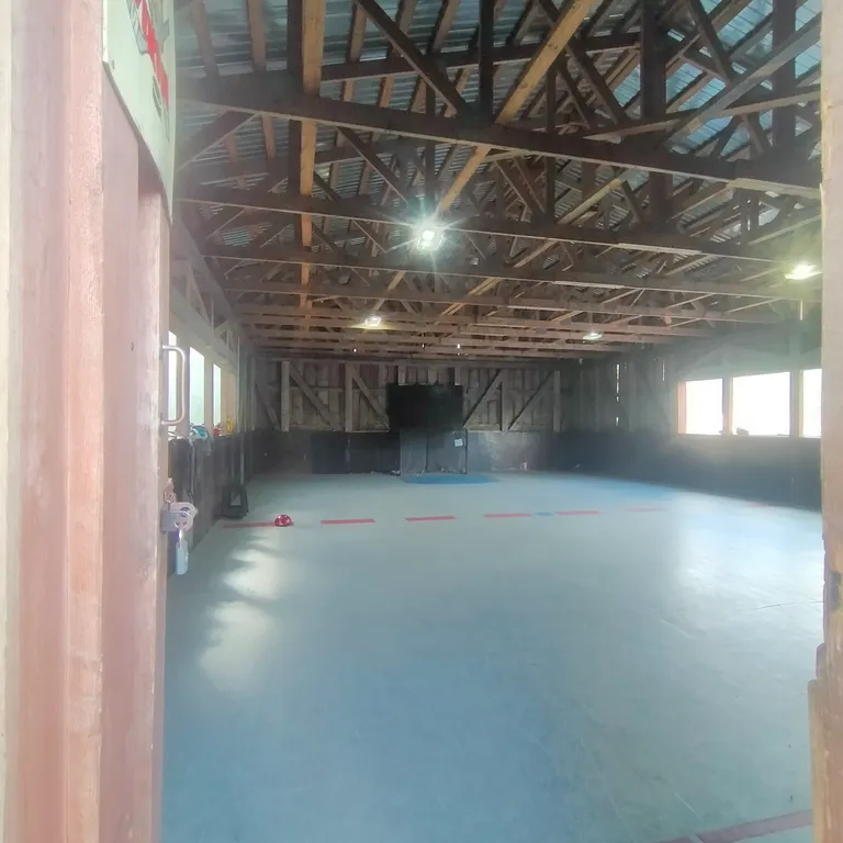 Коттедж Гостеприимный дом Викинг для большой компании — Советский