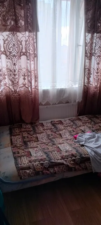 Квартира Квартира Уютная студия в центре Шушар имеет два окна, почти как однокомнатная — Шушары