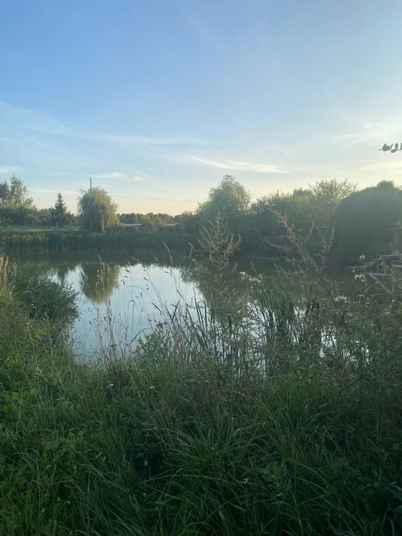 Деревянный дом с соломенной крышей и высокими потолками