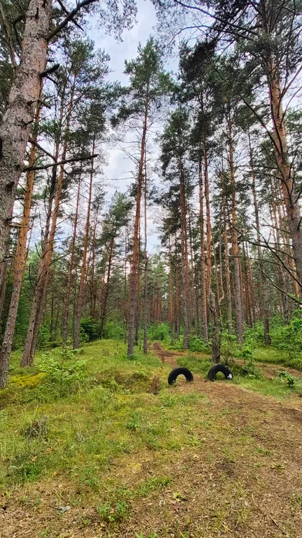 Дом с сауной рядом с лесом и озером