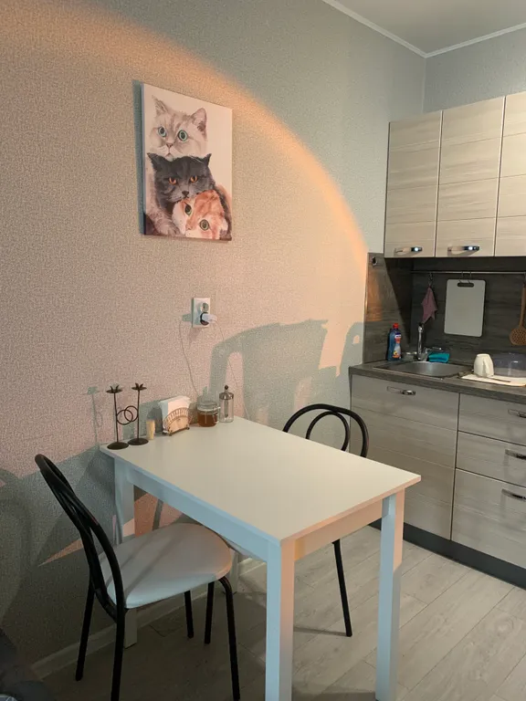 Студия у метро Девяткино