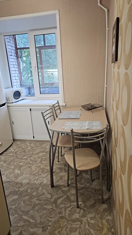 Квартира рядом с городскими прудами, Платинум ареной