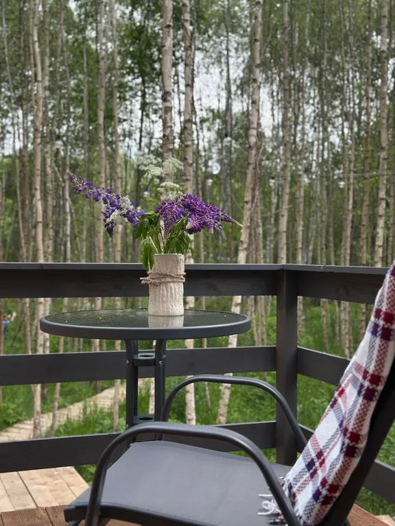 Уютный барн хаус в лесу недалеко от Смоленска