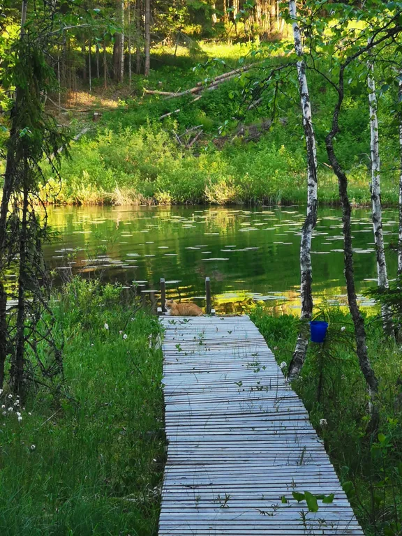 Уютный дом в Фортуне