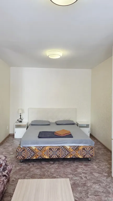 Квартира Центр города, недорого, чисто — аренда посуточно в Челябинск