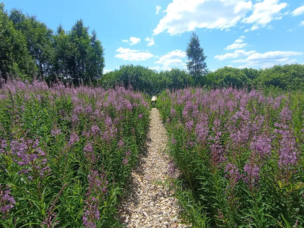 Коттедж Уютный дом на берегу озера — Москва