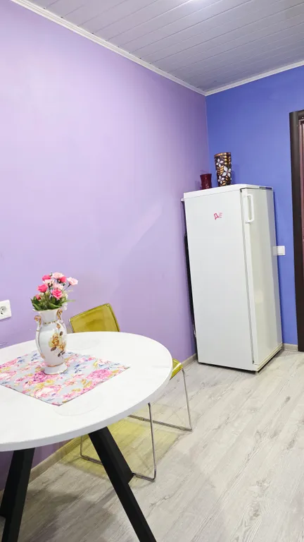 Квартира Просторная однокомнатная квартира — Колпино