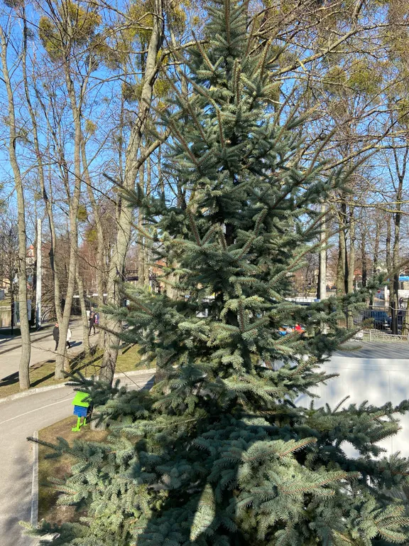 Квартира Квартира Prime apartments районе Ботанического сада — Калининград