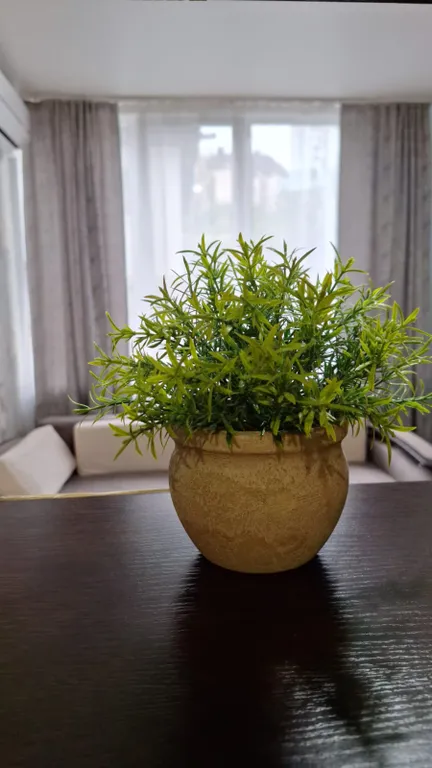 Квартира Сочи, солнце, море — аренда посуточно в Сочи