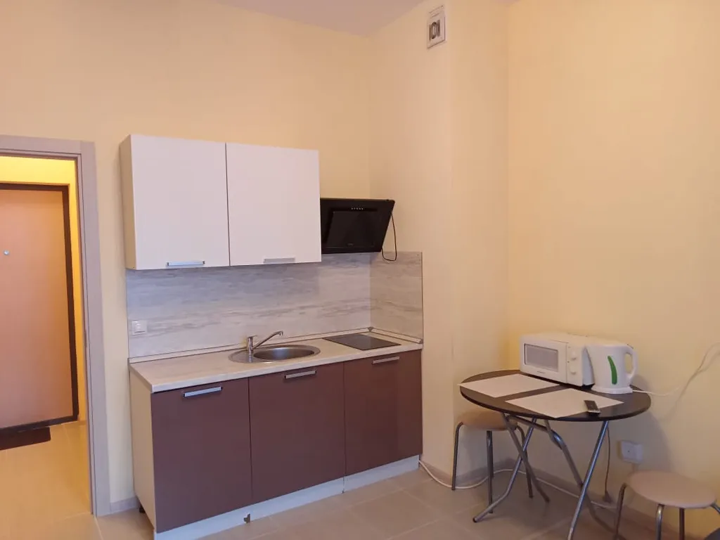 1-комнатная Квартира — аренда посуточно в Мурино