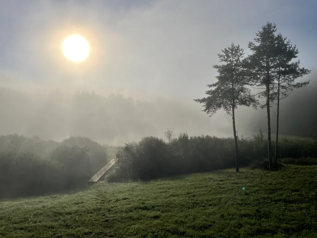 Домик в диком лесу на берегу реки